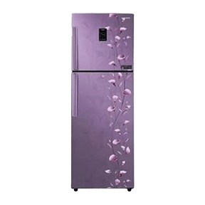 Samsung RT29JSMSAPZ 275 Ltr Double Door