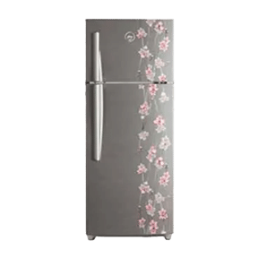 Godrej RT EON 261 PD 4.3 261 Ltr Double Door