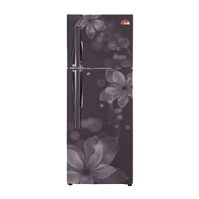 LG GL-U292JGOL 260 Ltr Double Door