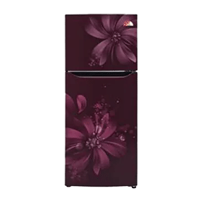 LG GL-Q292SSAM 260 Ltr Double Door