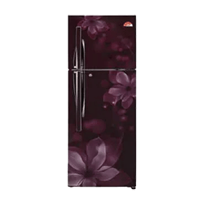 LG GL-U292JSOL 260 Ltr Double Door