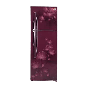 LG GL-F282RSFM 255 Ltr Double Door