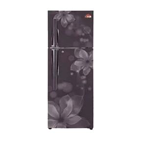 LG GL-F282RGOL 255 Ltr Double Door