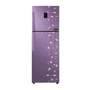 Samsung RT27JSMSAPZ 253 Ltr Double Door