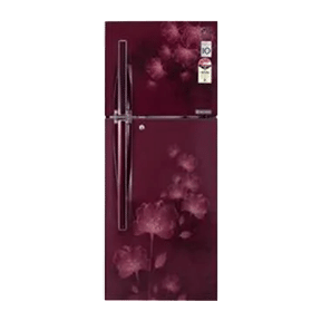 LG GL-I292RGFL 260 Ltr Double Door