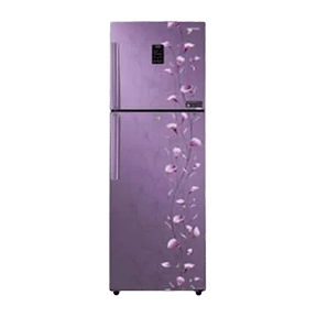Samsung RT28K3953 253 Ltr Double Door