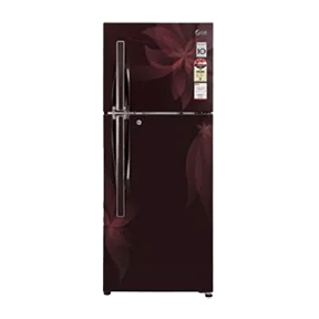 LG GL-M302RATL 285 Ltr Double Door