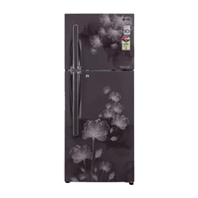 LG GL-D292JGFL 258 Ltr Double Door