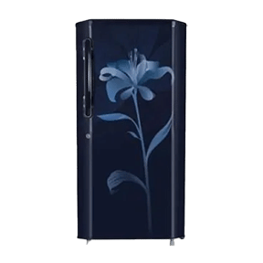 LG B245BSLN 235 Ltr Single Door