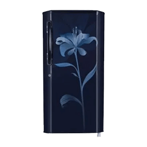 LG B225BMLL 215 Ltr Single Door