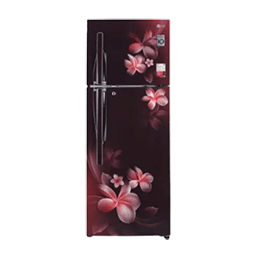 LG GL-T302RSPX 284 Ltr Double Door