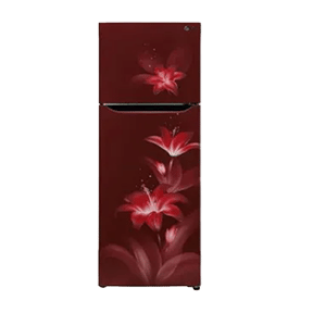 LG GL-T302SRGY 284 Ltr Double Door