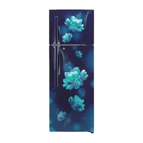 LG GL-T322RBC3 308 Ltr Double Door