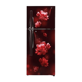 LG GL-T292RSCY 260 Ltr Double Door