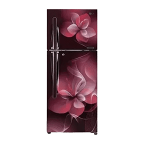 LG GL-T292RSDU 260 Ltr Double Door