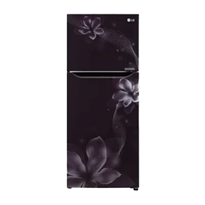 LG GL-N292DPOY 260 Ltr Double Door