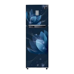 Samsung RT30R3724U8 275 Ltr Double Door