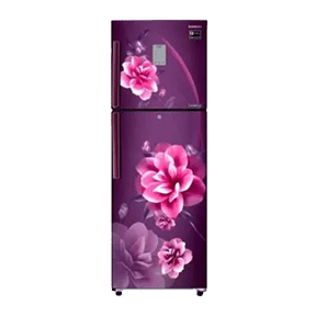 Samsung RT28R3923CR 253 Ltr Double Door