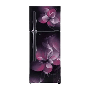 LG GL-C292RPDY 260 Ltr Double Door