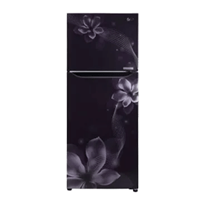 LG GL-C292SPOU 260 Ltr Double Door