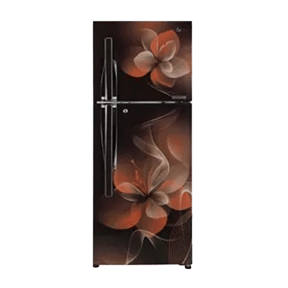 LG GL-T292RHDU 260 Ltr Double Door