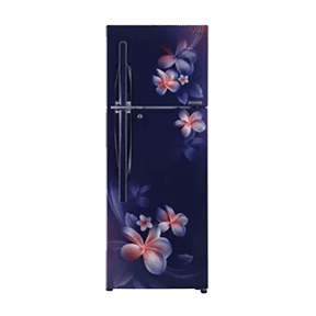 LG GL-T302RBPN 284 Ltr Double Door