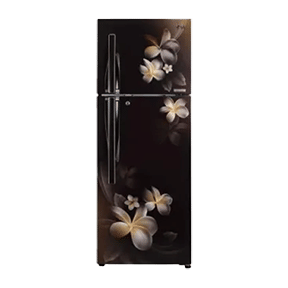 LG GL-T302RHPN 284 Ltr Double Door