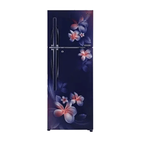 LG GL-T292RBPN 260 Ltr Double Door