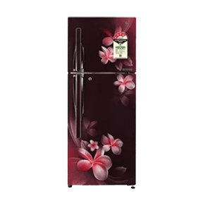 LG GL-T292RSPN 260 Ltr Double Door