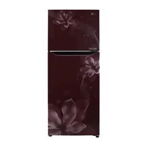 LG GL-C292SSOU 260 Ltr Double Door