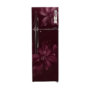 LG GL-C302RSAU 284 Ltr Double Door