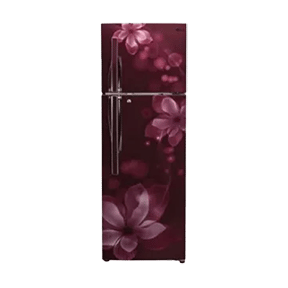 LG GL-T302RSOU 284 Ltr Double Door