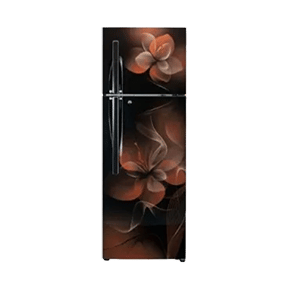 LG GL-T292RHDN 260 Ltr Double Door