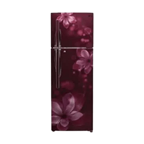 LG GL-T322RSOU 308 Ltr Double Door