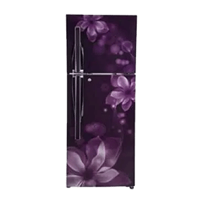 LG GL-T292RPOU 260 Ltr Double Door