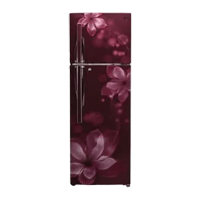 LG GL-T302RSOY 24 Ltr Double Door