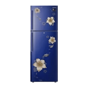 Samsung RT28M3343U2 253 Ltr Double Door