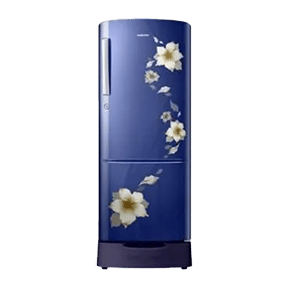Samsung RR22K287Z 212 Ltr Single Door