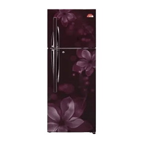 LG GL-U292JPOL 260 Ltr Double Door