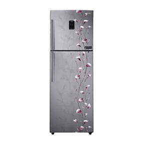Samsung RT27JSMSASZ 253 Ltr Double Door