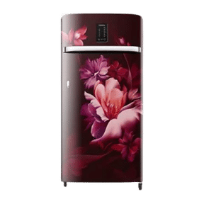 Samsung RR21C2E24RZ 189 Ltr Single Door