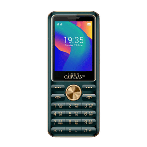 Saregama Carvaan M21