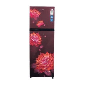 Lloyd GLFF292ASRT1PB 283 Ltr Double Door