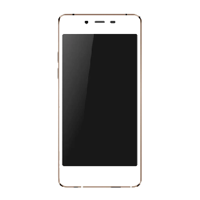 Micromax Canvas Sliver 5 Q450