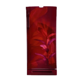 Godrej RD EDGEPRO 255C 33 TAI MN WN 240 Ltr Single Door
