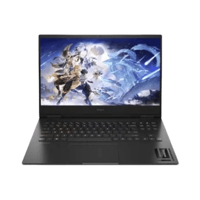 HP Omen 16-wd0012TX (A1NW3PA) (Core i7 13th Gen/16 GB/1 TB SSD/Windows 11/8 GB)