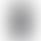 OnePlus Nord - Refurbished