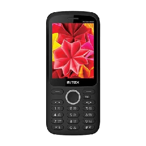 Intex Mega 1800