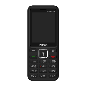 Intex Turbo 220