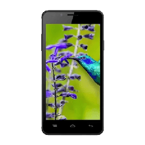 Intex Aqua Lions E3